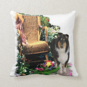 Coussin Cadeaux rugueux d'art de colley de tri couleur