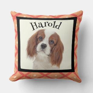 Coussin Cadre photo customisé King Charles Cavalier