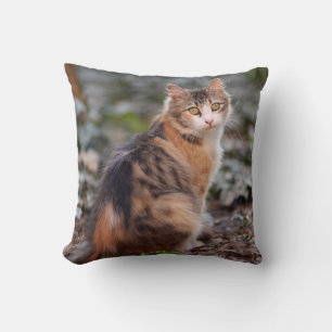 Coussin Calico Tabby Chat Fluffy Sweet