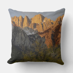 Coussin Californie, mont Whitney, forêt nationale d'Inyo 3