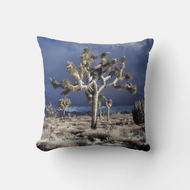 Coussin Californie, Parc national de Joshua Tree (Recto)