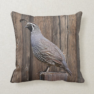 COUSSIN CALIFORNIE QUAIL SUR BARNBOUR