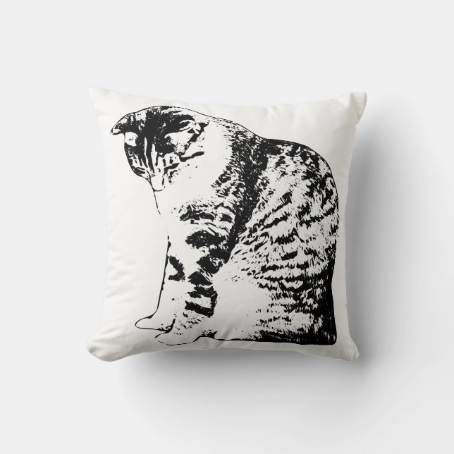 Coussin Calme côté feu avec chat encastré (Recto)