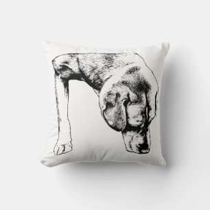 Coussin calme, Curieux Pup