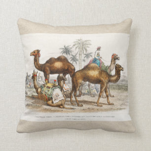Coussin Camels of India Illustration Vintage, 1820