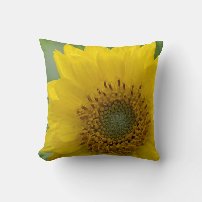 Coussin Canada, Colombie-Britannique, île de Vancouver 7 (Recto)