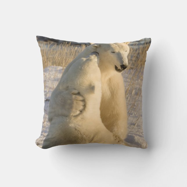 Coussin Canada, Manitoba, baie d'Hudson, Churchill. (Recto)