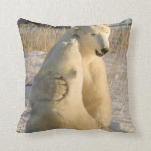 Coussin Canada, Manitoba, Baie d'Hudson, Churchill.