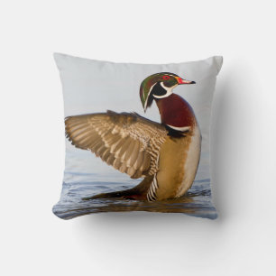 Coussin Canard branchu mâle battant des ailes dans une zon