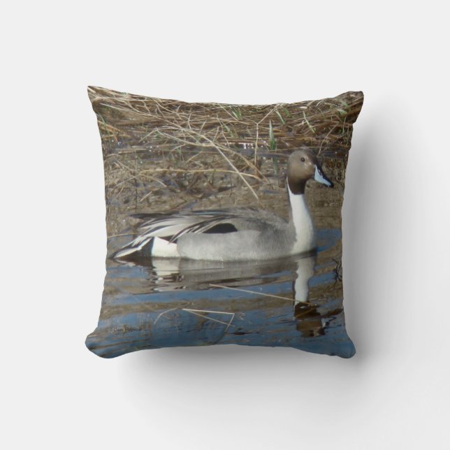Coussin Canard colvert B5 Pintail (Recto)