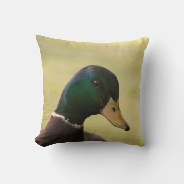 Coussin Canard de Mallard (Recto)