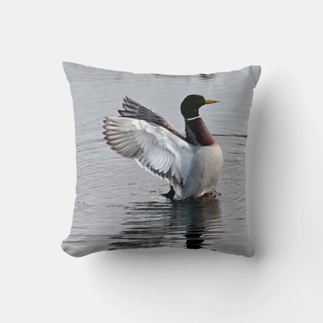 Coussin Canard de Mallard (Recto)