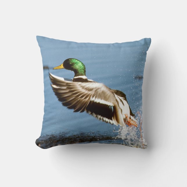 Coussin Canard de Mallard Drake (Recto)