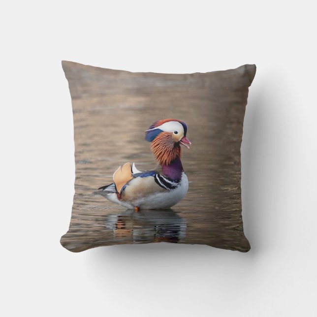 Coussin Canard de mandarine (Recto)