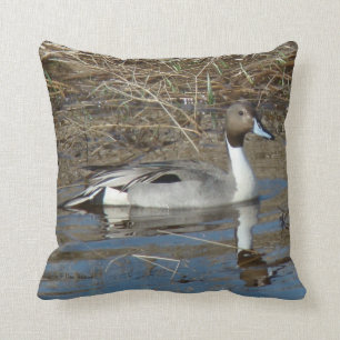 Coussin Canard Drake du canard pilet B5