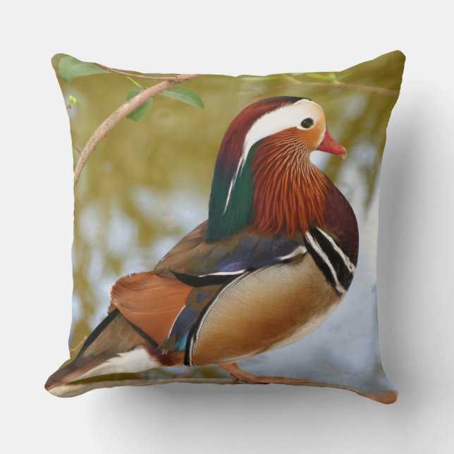 Coussin Canard mandarin (Recto)