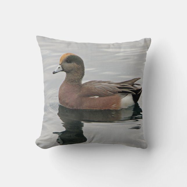 Coussin Canard Photo Lac Oiseau Wigeon Bleu Eau Brown Calm (Recto)