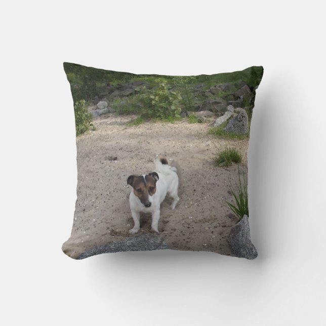 Coussin Capo von Oppenheim Jack Russell Terrier, chien (Recto)