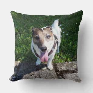 Coussin Capo von Oppenheim, Jack Russell Terrier Chien