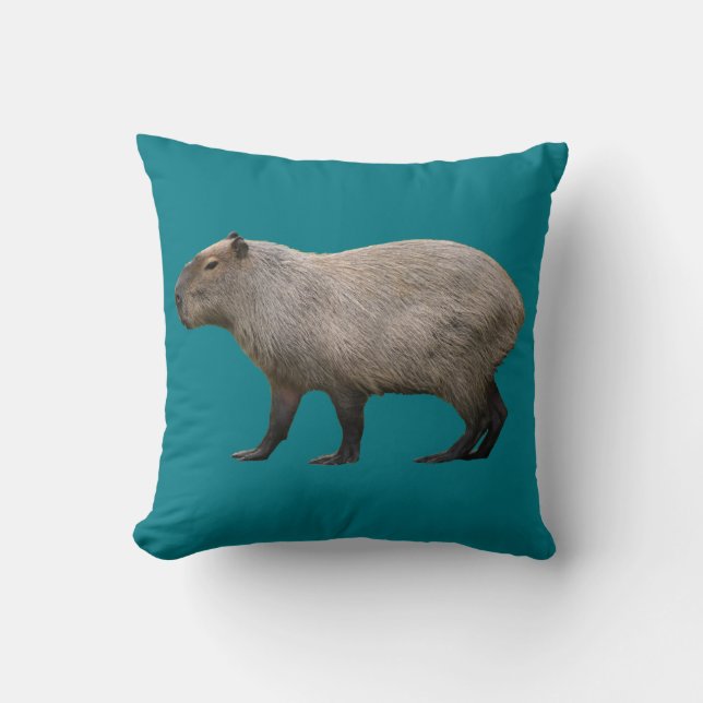 Coussin Capybara (Recto)