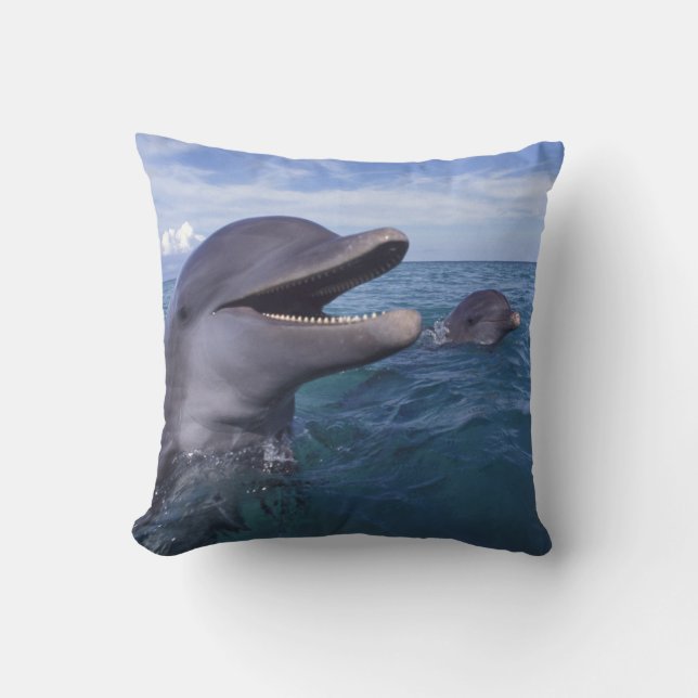 Coussin Caraïbes, Bottlenose (Recto)