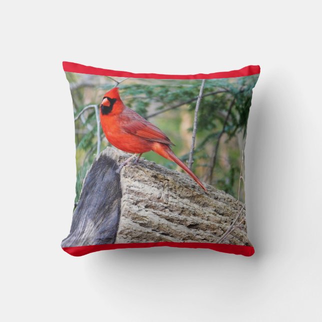Coussin Cardinal Crimson (Recto)