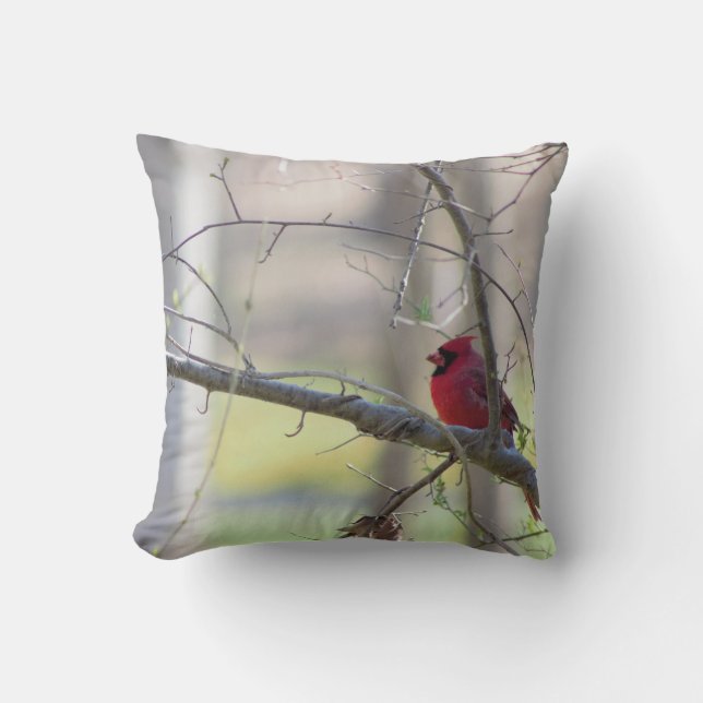Coussin Cardinal dans l'arbre   (Recto)