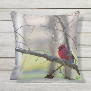 Coussin Cardinal dans l'arbre  