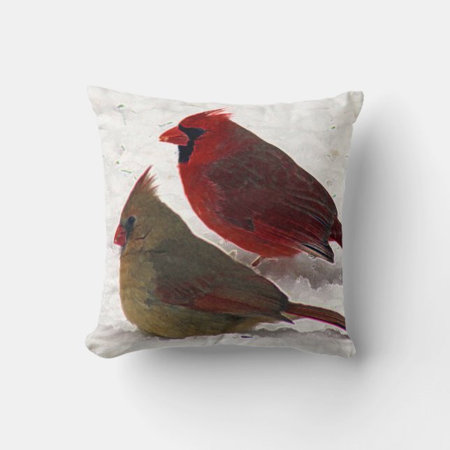Coussin cardinal de paires (Recto)