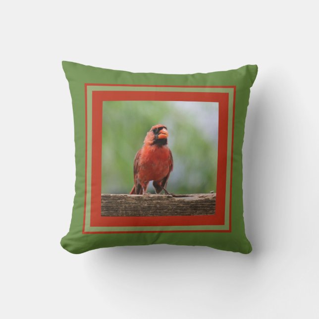 Coussin Cardinal du Nord, encadré en rouge et vert (Recto)