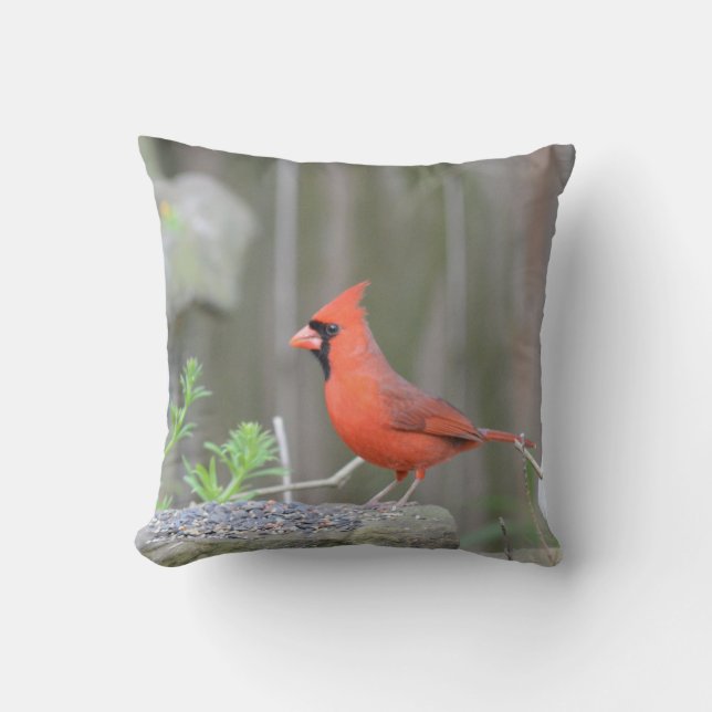 Coussin Cardinal gardant sa pochette ! (Recto)