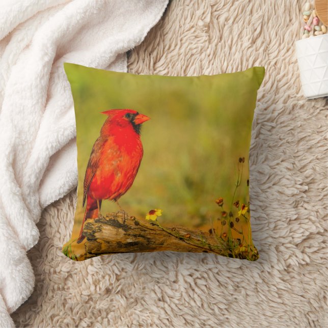 Coussin Cardinal mâle sur une bûche (Couverture)