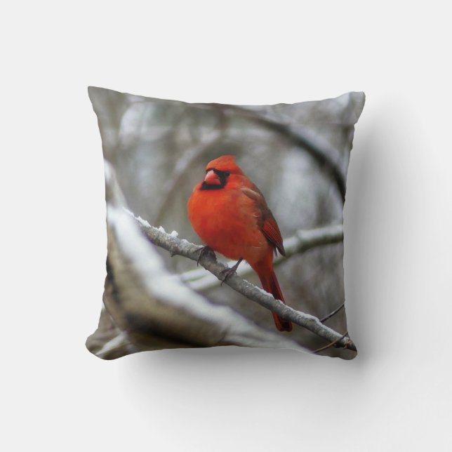 Coussin Cardinal masculin (Recto)