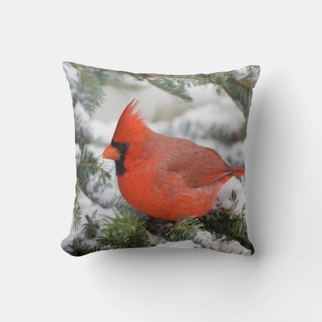 Coussin Cardinal rouge dans un sapin baumier en hiver (Recto)