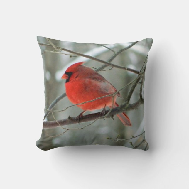Coussin Cardinal rouge d'hiver (WestCreek) (Recto)