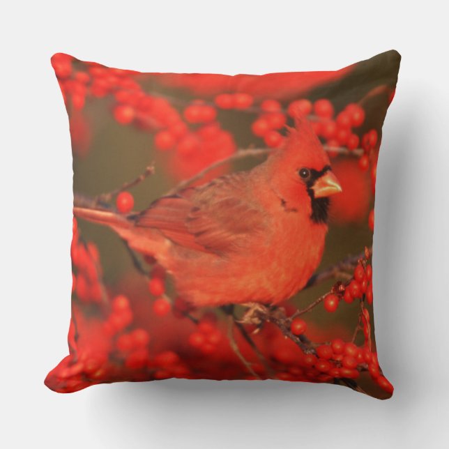 Coussin Cardinal rouge du Nord mâle, IL (Recto)