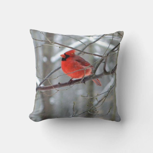 Coussin cardinal rouge gai (Recto)