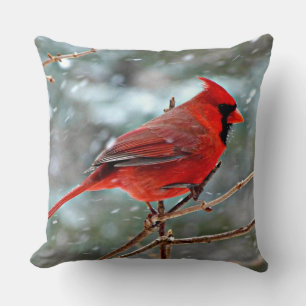Coussin Cardinal rouge, jour d'hiver froid