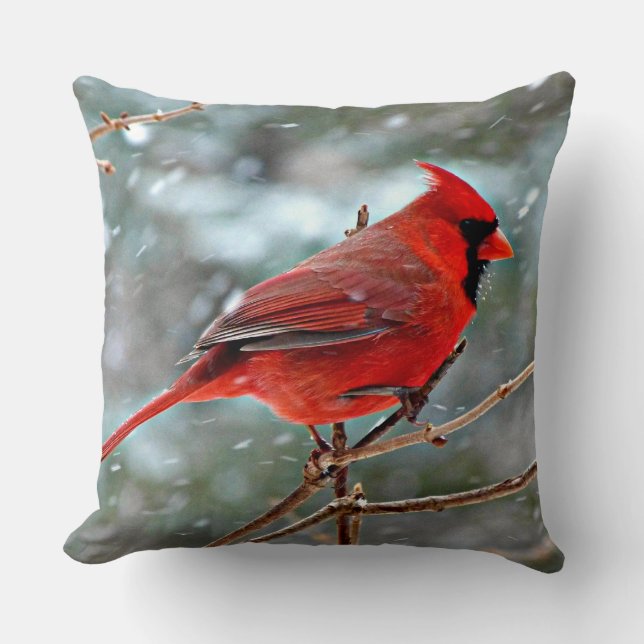 Coussin Cardinal rouge, jour d'hiver froid (Recto)