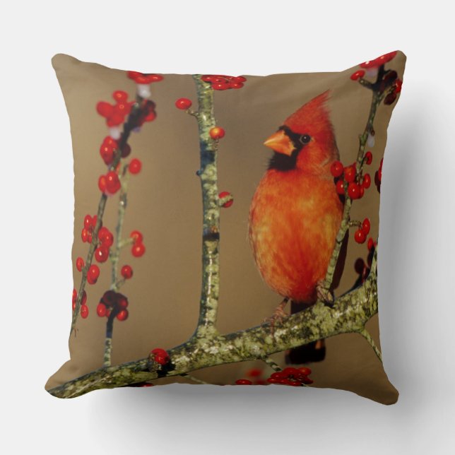 Coussin Cardinal rouge mâle perché, IL (Recto)