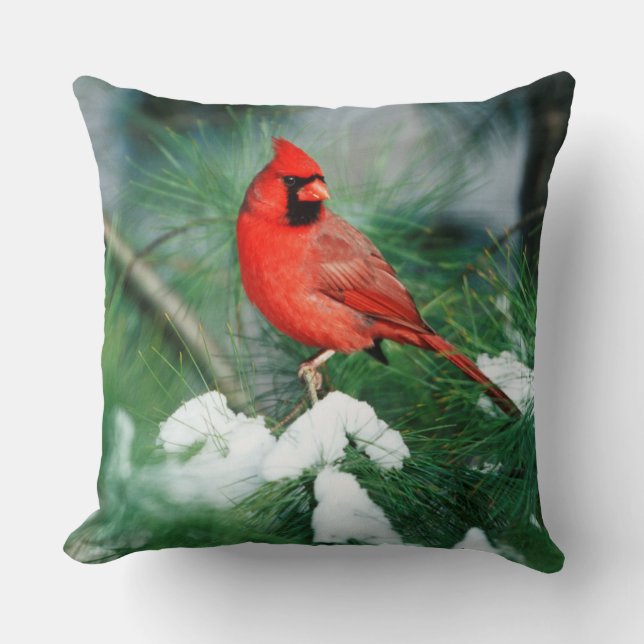 Coussin Cardinal rouge mâle sur un arbre, IL (Recto)