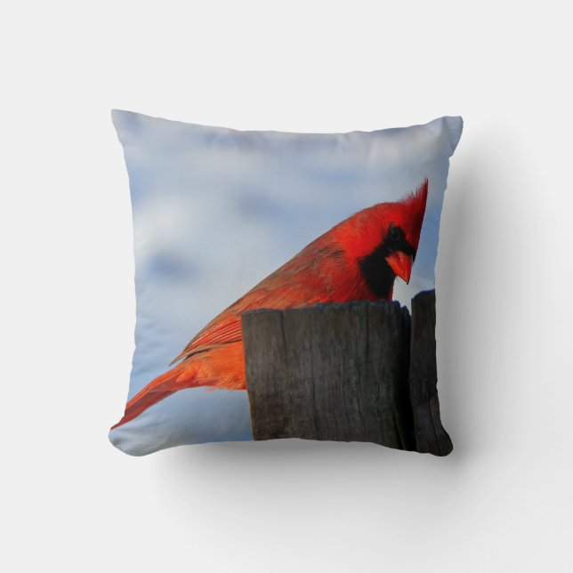 Coussin Cardinal rouge sur la souche en bois (Recto)