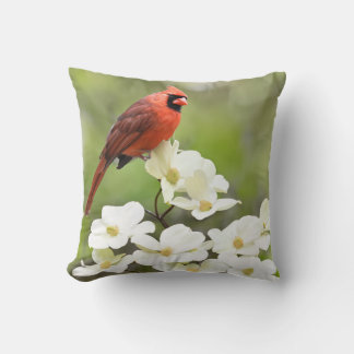 Coussin Cardinal sur Dogwood