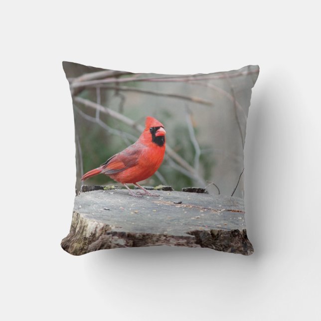 Coussin Cardinal Woodland (Recto)