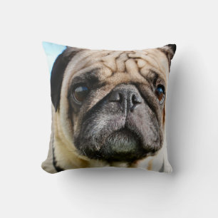 Coussin Carlin