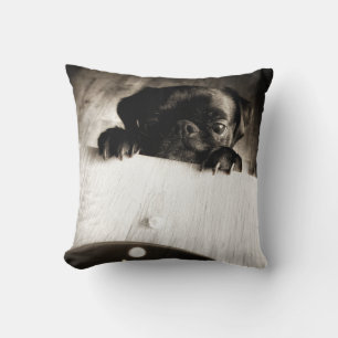 Coussin carlin à regarder en bw