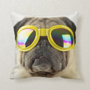 Coussin Carlin avec lunettes