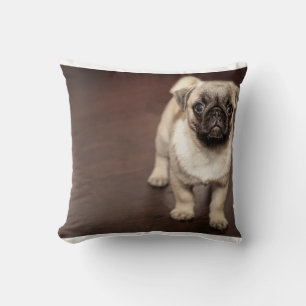 Coussin carlin-chiot dans la sépia