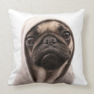 Coussin Carlin dans un sweat - shirt à capuche