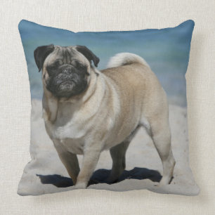 Coussin Carlin de faon à la plage